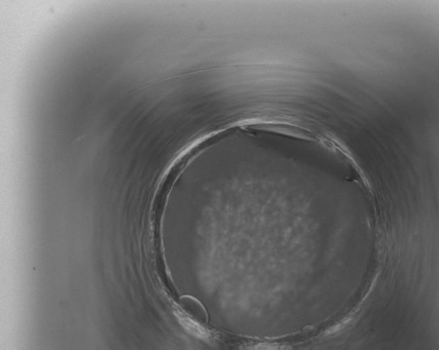 X0000080100779200612221737