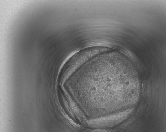 X0000080100780200612221737