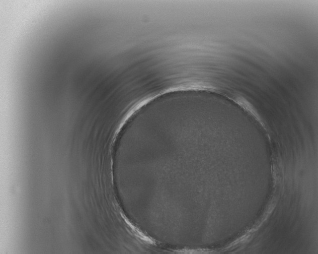 X0000080100781200612221737