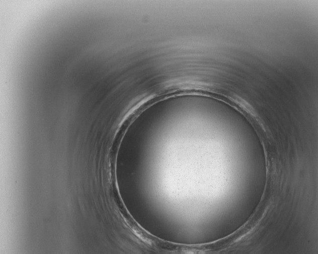 X0000080100782200612221737