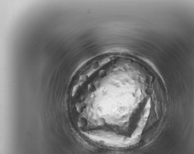 X0000080100783200612221737