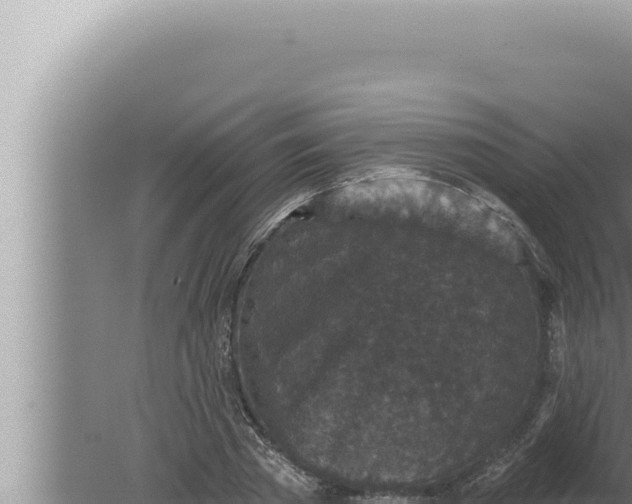 X0000080100785200612221737