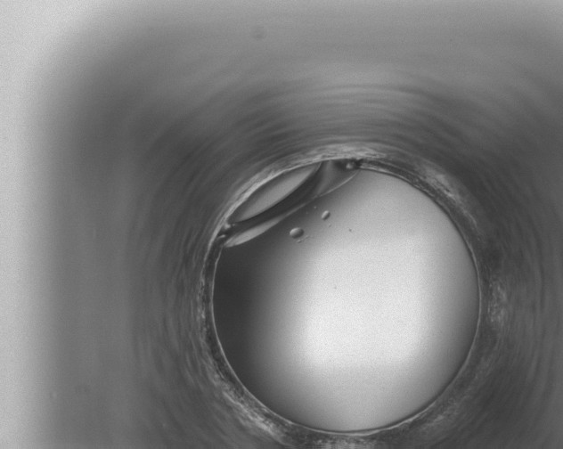 X0000080100786200612221737