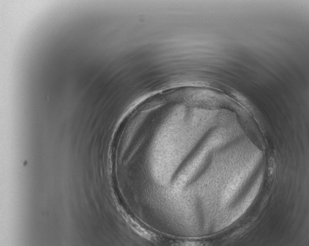 X0000080100787200612221737