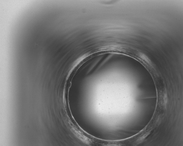 X0000080100788200612221737