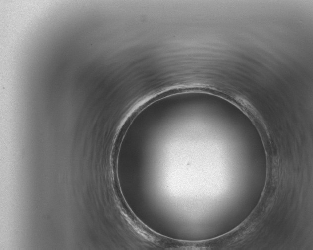 X0000080100789200612221737