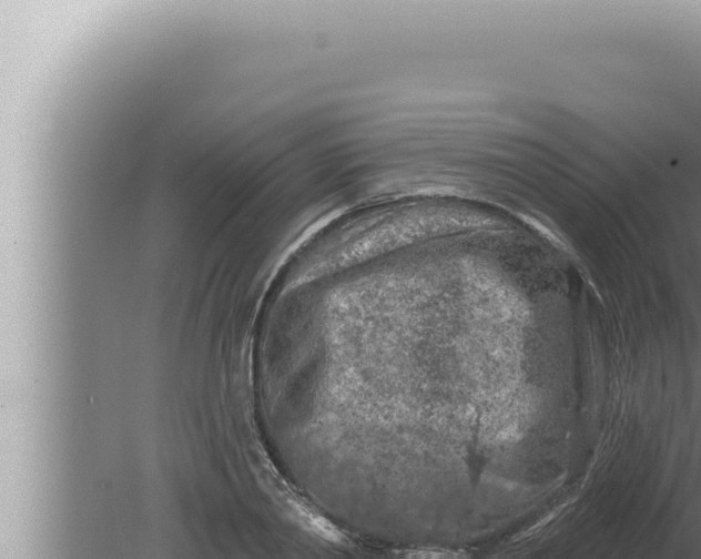 X0000080100790200612221737