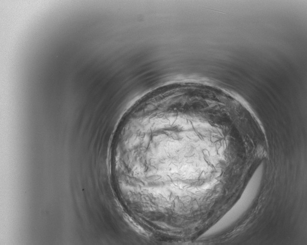 X0000080100791200612221737