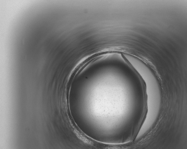 X0000080100792200612221737