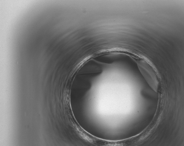 X0000080100793200612221737