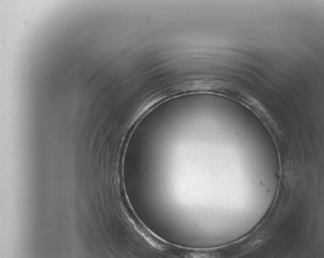 X0000080100794200612221737