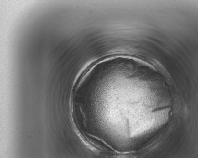 X0000080100796200612221737