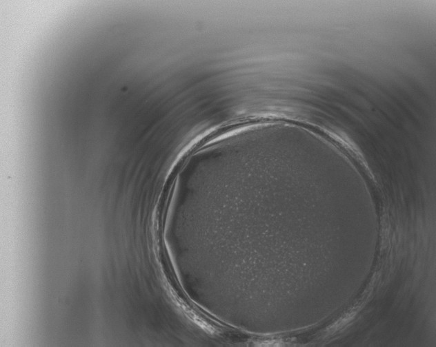 X0000080100798200612221737