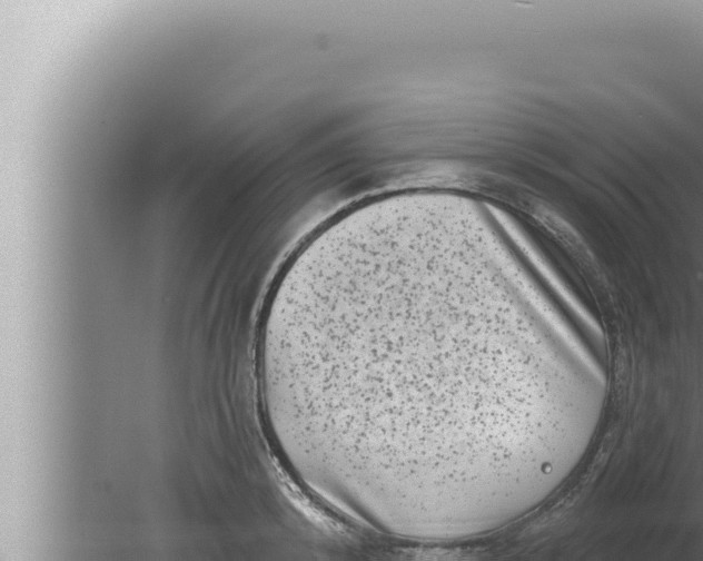 X0000080100800200612221737