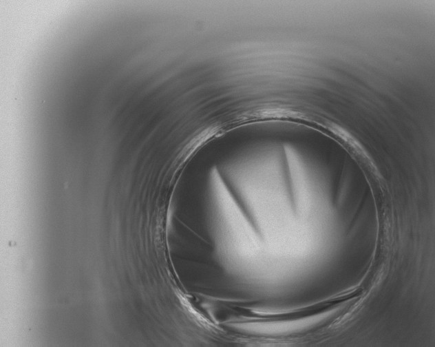 X0000080100801200612221737