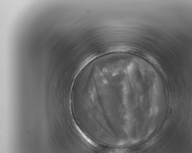 X0000080100802200612221737