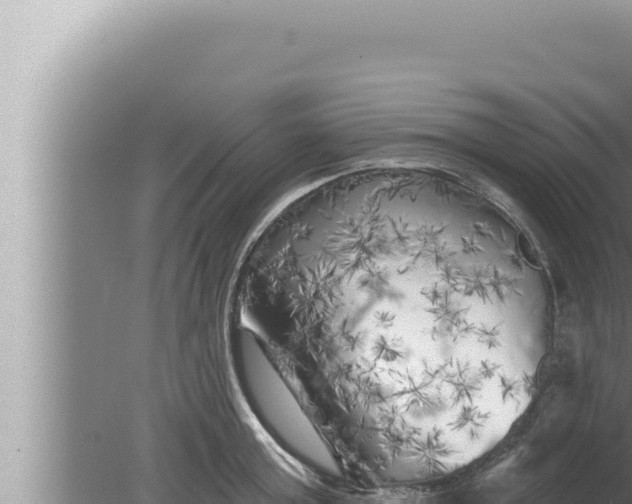 X0000080100803200612221737