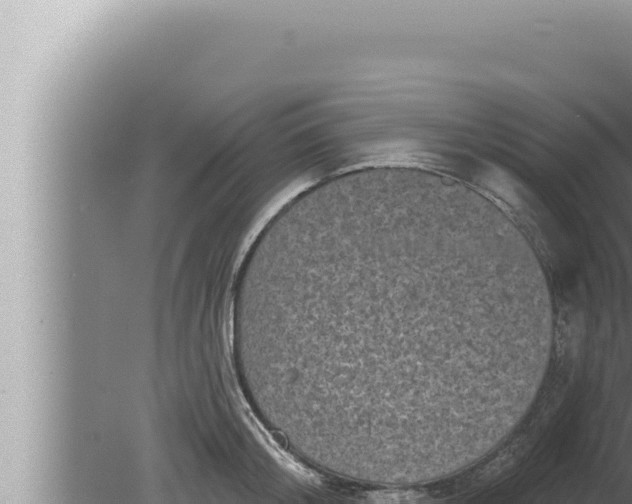 X0000080100804200612221737