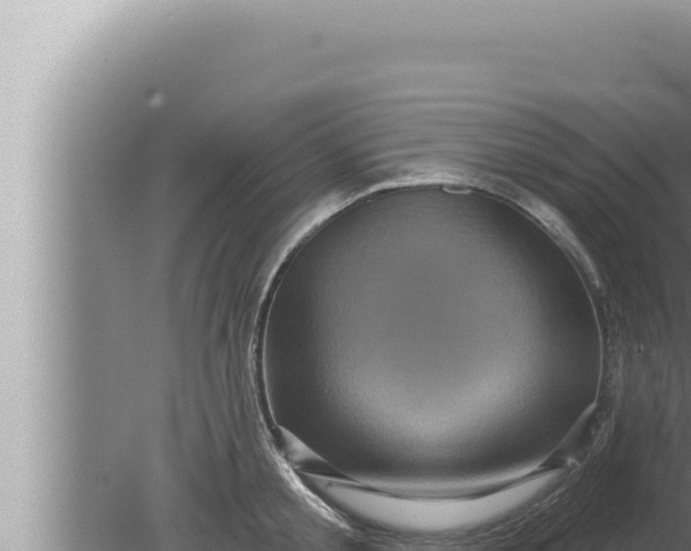 X0000080100805200612221737