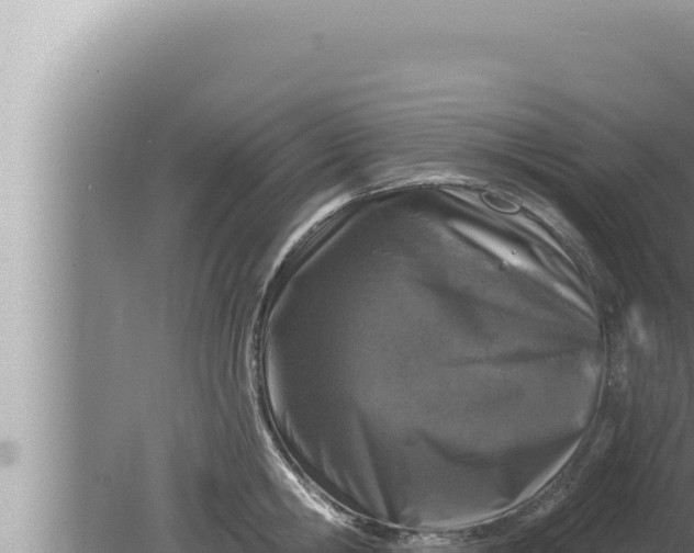 X0000080100806200612221737