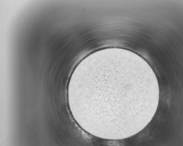 X0000080100807200612221737