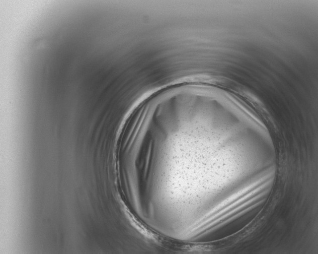 X0000080100808200612221737