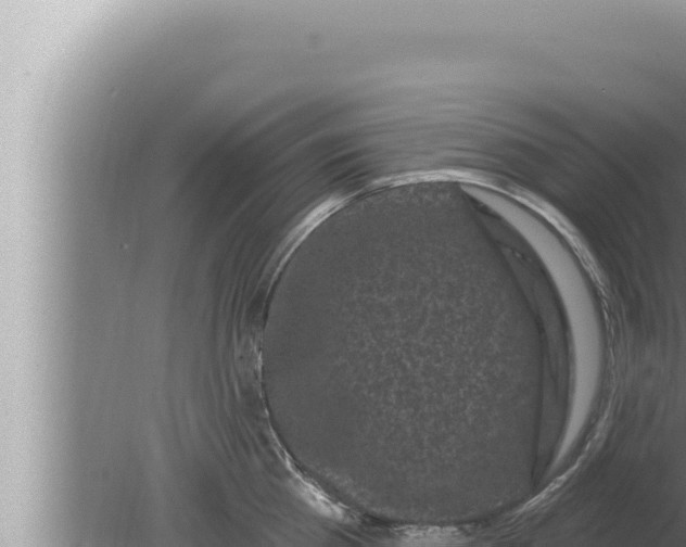 X0000080100809200612221737