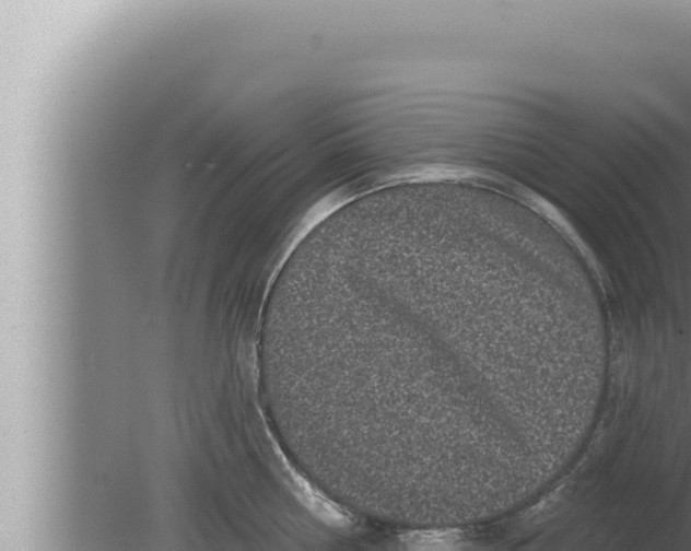 X0000080100810200612221737