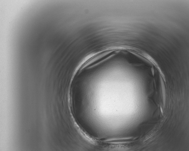 X0000080100811200612221737