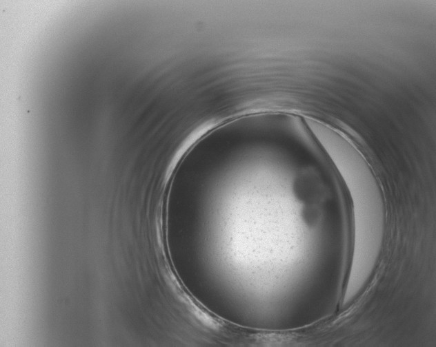 X0000080100812200612221737