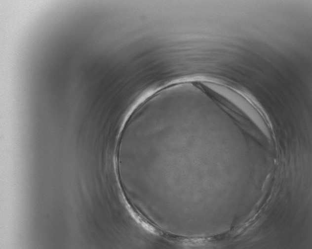 X0000080100813200612221737