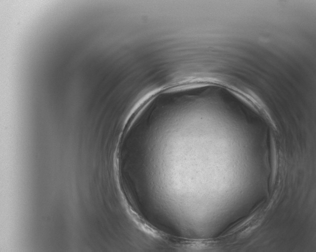 X0000080100814200612221737