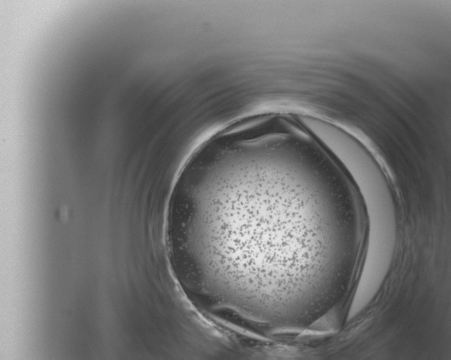 X0000080100815200612221737