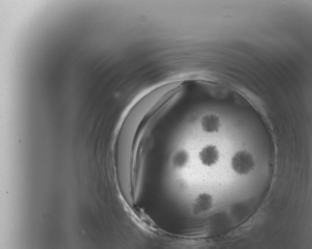 X0000080100816200612221737