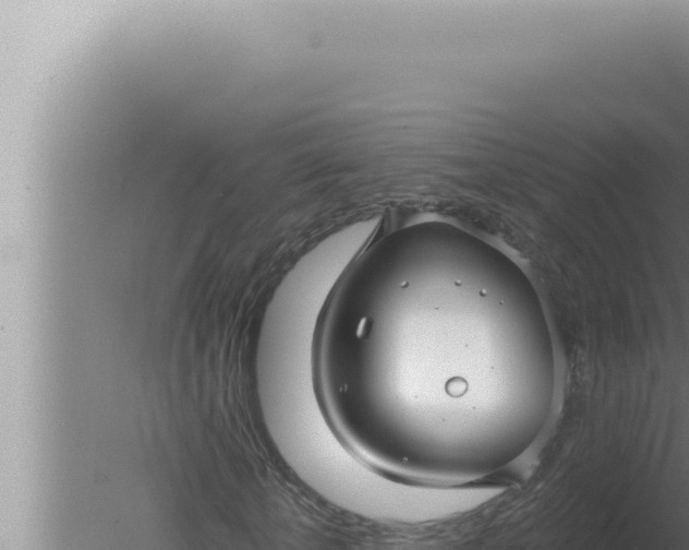 X0000080100818200612221736