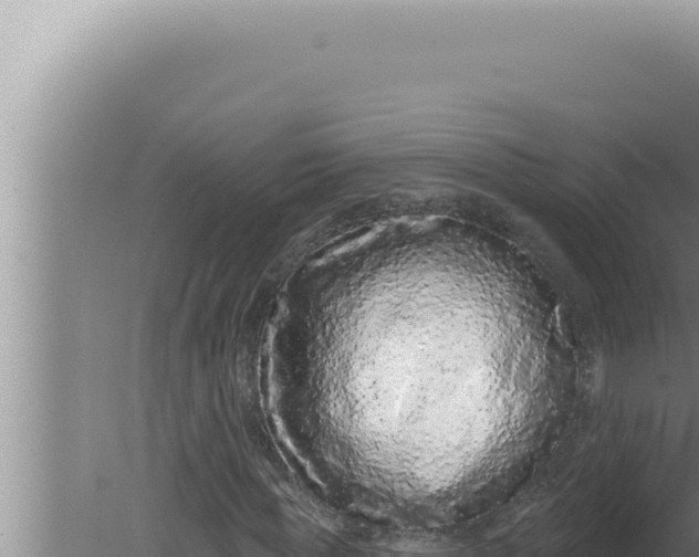 X0000080100819200612221736