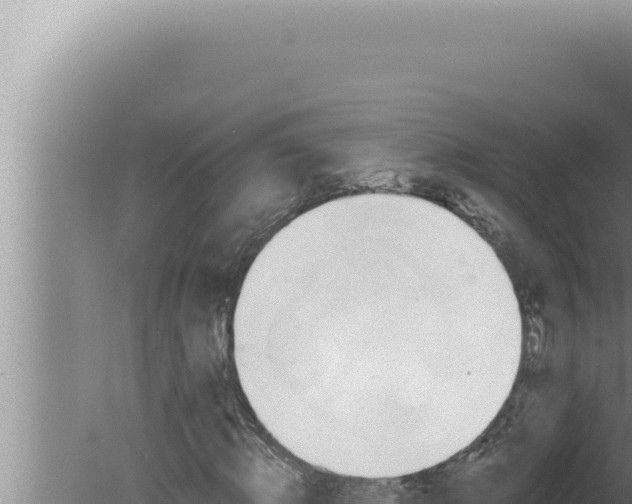 X0000080100820200612221736