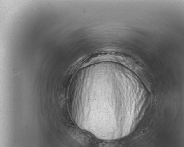 X0000080100821200612221736