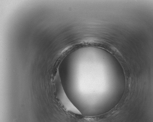 X0000080100822200612221736