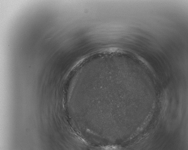 X0000080100823200612221736