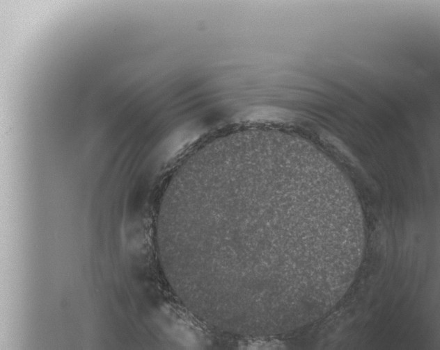 X0000080100824200612221736