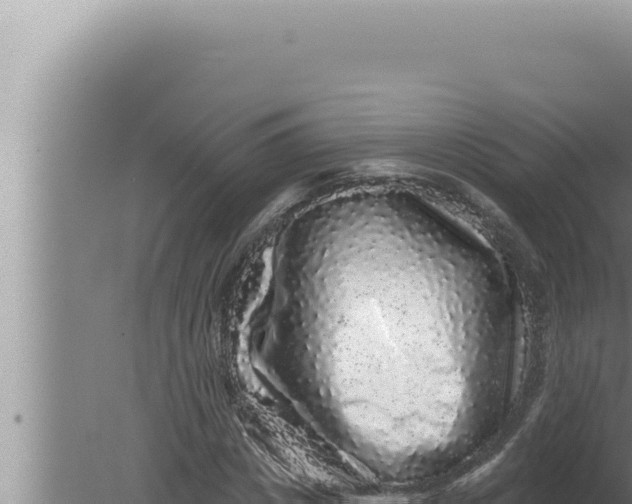 X0000080100825200612221736