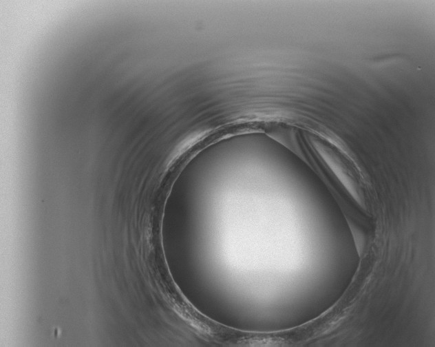 X0000080100826200612221736