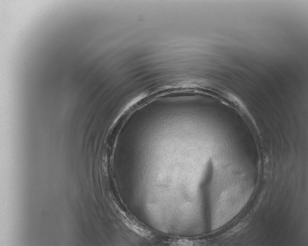 X0000080100827200612221736