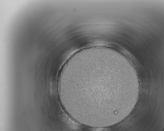 X0000080100828200612221736