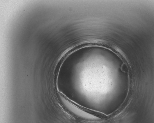 X0000080100829200612221736