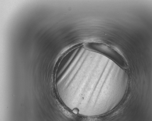 X0000080100831200612221736