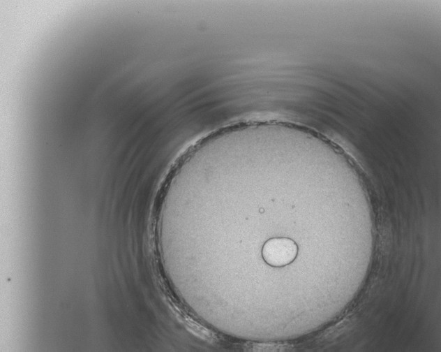 X0000080100832200612221736