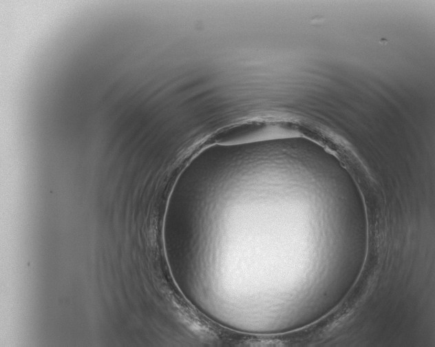 X0000080100833200612221736