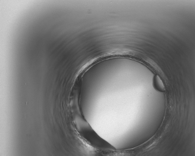 X0000080100834200612221736